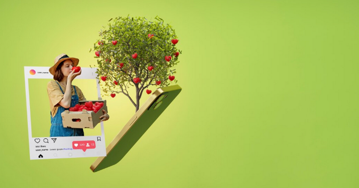 Drive Free Organic Traffic to Your Online Shop