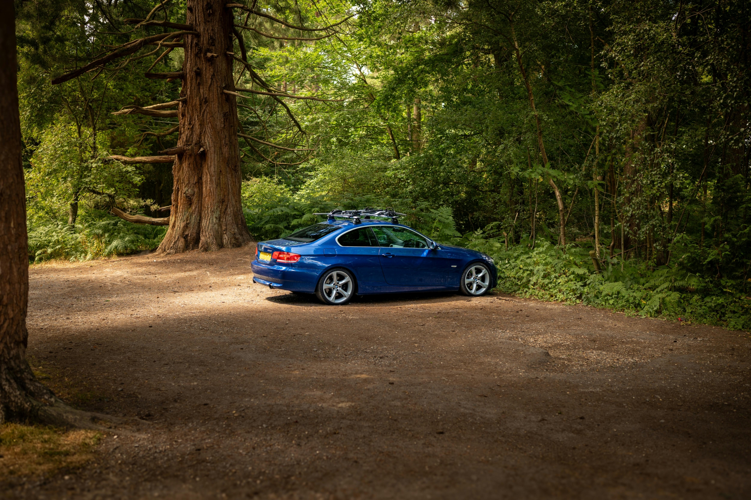 Decide Between BMW 3 Series and 5 Series