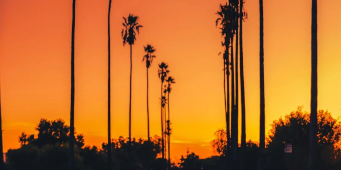 Keep Your Light Aircraft Airworthy Year-Round